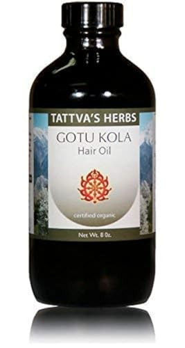 Tattva's Herbs Gotu Kola & Brahmi Hair Oil 8oz  Ayurvedic Scalp Treatment for Hair Growth