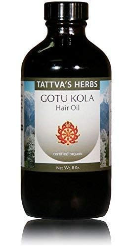 Tattva's Herbs Gotu Kola & Brahmi Hair Oil 8oz  Ayurvedic Scalp Treatment for Hair Growth