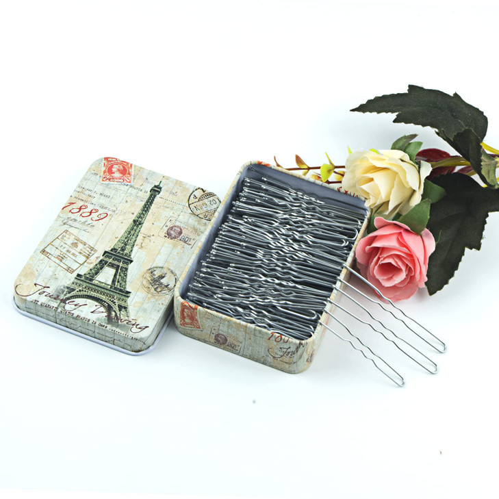 200pcs U Shaped Hair Pins Silver with Cute Case, Hairpins for Buns, Premium Bobby Pins for Kids, Girls and Women, Great for All Hair Types(2.4 & 2 In