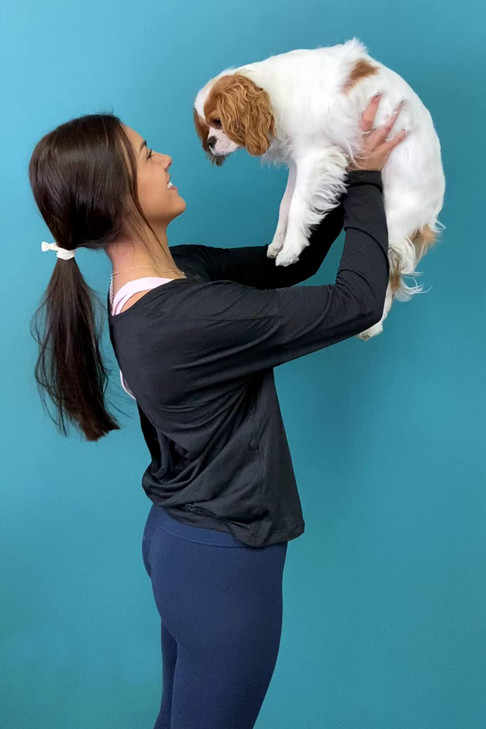 Kenz Laurenz 100 Hair Ties No Crease Ribbon Elastics Ouchless Ponytail Holders Hair Bands (100 Hair Ties-Black)