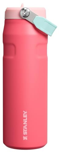 Stanley IceFlow Flip Straw 2.0 Water Bottle 24 oz | Built-In Straw for Travel and Sports | Lightweight and Leak Resistant | Insulated Stainless Steel
