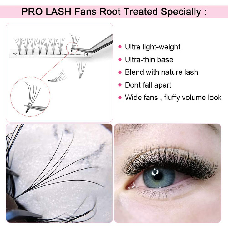 PRO LASHBEAUTY Premade Fans Eyelash Extensions 5D-D-0.10-12 Black PTB Vegan Volume Lash Extensions 9 to 20 mm Pair
