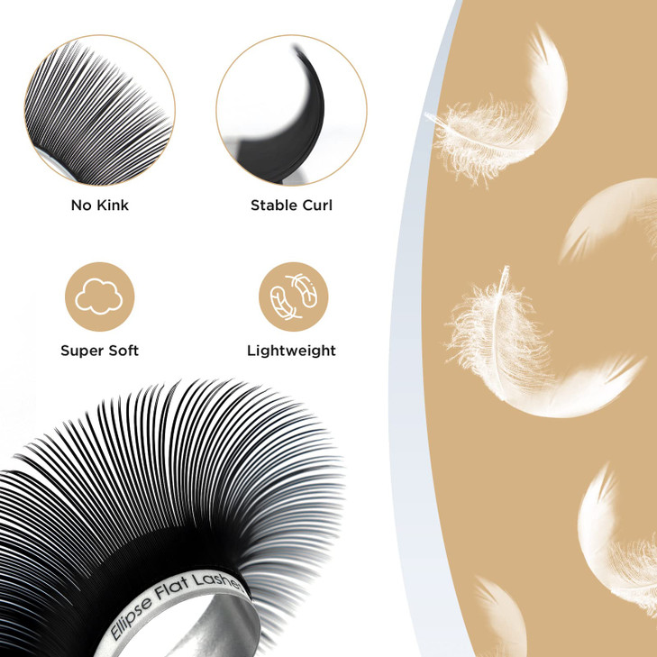 LASHVIEW Ellipse Eyelash Extensions 0.15mm D Curl 10mm Lashes Extensions Flat Eyelash Extension Eyelashes Lashes Extension Flat lash Extension Salon