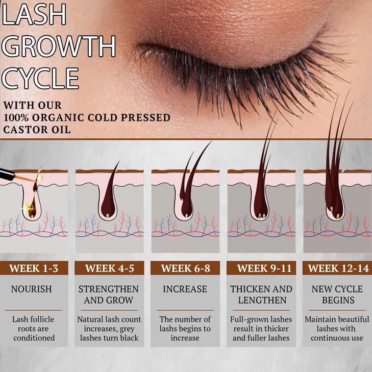 Organic Cold Pressed Castor Oil USDA Certified Eyelash and Hair Growth Serum, Hexane-Free, Conditions and Stimulates Growth for Lashes, Brows and Hai
