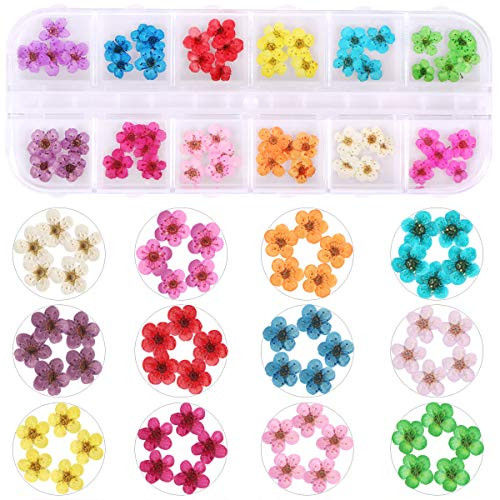 2 Boxes Dried Flowers for Nail Art, KISSBUTY 24 Colors Dry Flowers Mini Real Natural Flowers Nail Art Supplies 3D Applique Nail Decoration Sticker fo