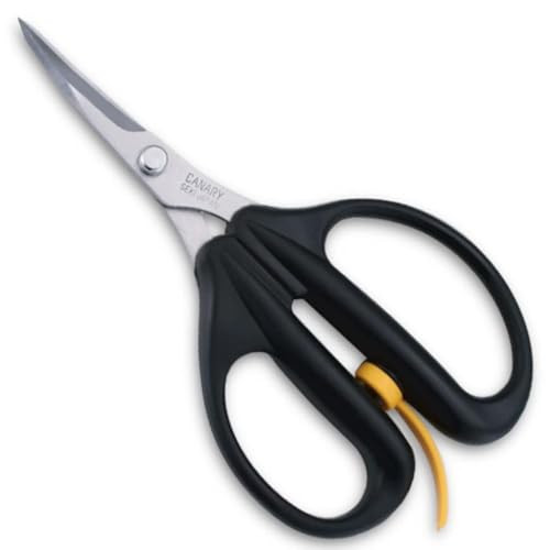 CANARY Spring Loaded Craft Scissors 6.3" [Curved Sharp Tips], Made in JAPAN, Razor Sharp Japanese Stainless Steel Blade, Black