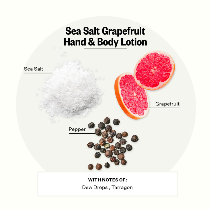 APOTHEKE Scented Hand & Body Lotion, Sea Salt Grapefruit - 10 Fl Oz Nourishing Body Moisturizer Cream for Dry Skin - Gentle Daily Skincare for Men &