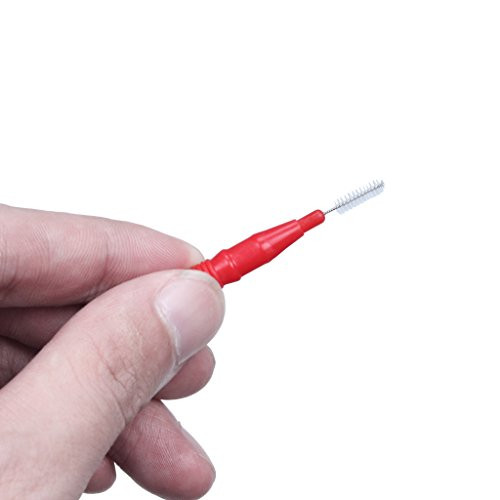 ewinever 50 Count Interdental Brush,Toothpick Tooth Flossing Head Oral Dental Hygiene Brush, Tooth Cleaning Tool (Red+Blue)