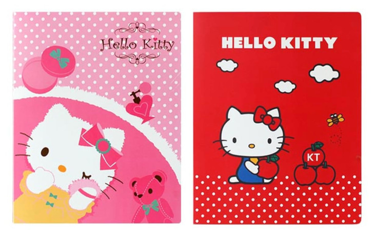 Kitty's 40 Sheet Portfolio Binder for A4 - Officially Licensed 2 Designs for Transparent Clear File Display and Storage (Pink Teddy & Red Apples) (Ki