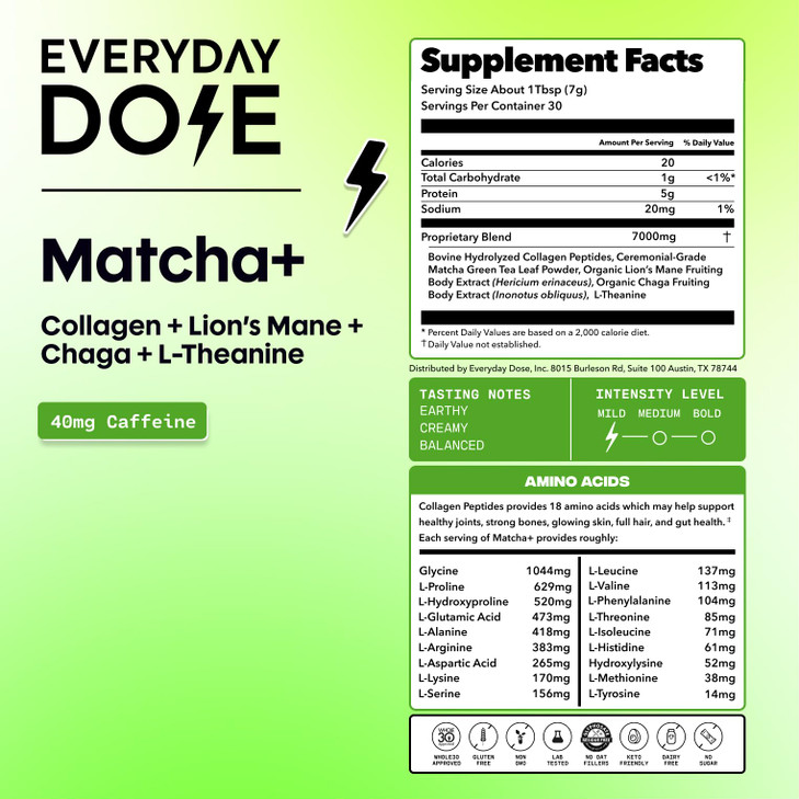 Everyday Dose Mushroom Matcha+ Ceremonial Grade Matcha Powder - Japanese Tea With Grass-Fed Collagen, Lion's Mane, Chaga, L-Theanine - For Better Foc