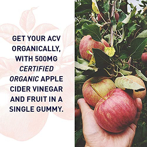 Garden of Life Apple Cider Vinegar Gummies USDA Organic ACV Gummy Vitamins Made with Real Fruit Blend, Whole Food Vitamin B12 - Vegan, Gluten Free, N