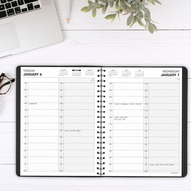AT-A-GLANCE 2026 Appointment Book Planner, Daily, 8" x 11", Large, Two Person Group, Black (702220526)