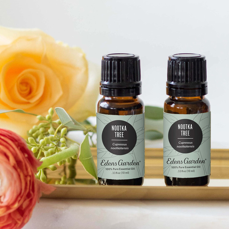 Edens Garden Nootka Tree Essential Oil- 100% Pure Premium Grade, Undiluted, Natural, Therapeutic, Aromatherapy, The Best for Diffuser, Skin, Candle,