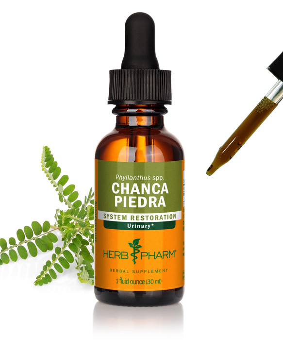 Herb Pharm Chanca Piedra Liquid Extract for Urinary System Support, 1 Fl Oz