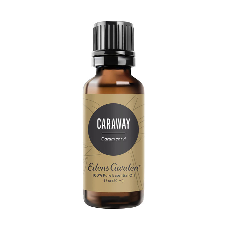 Edens Garden Caraway Essential Oil- 100% Pure Premium Grade, Undiluted, Natural, Therapeutic, Aromatherapy, The Best for Diffuser, Skin, Laundry, Hum