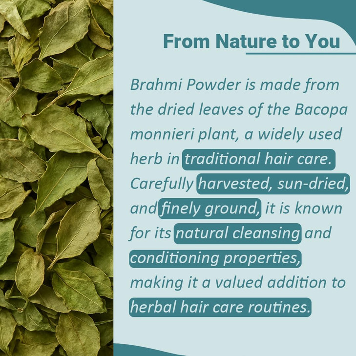 minature Organic Brahmi Powder (Bacopa Monnieri) - 227 g / 8 OZ / 1/2 lb | Promotes Hair Growth