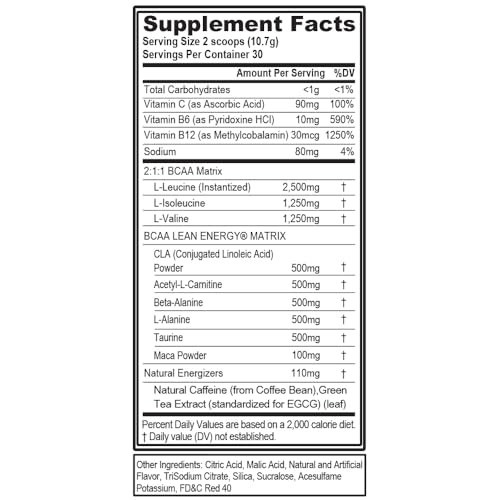 EVL BCAA Lean Energy Powder - Pre Workout Green Tea Fat Burner Support with BCAAs Amino Acids and Clean Energizers - Post Workout Recovery Drink for