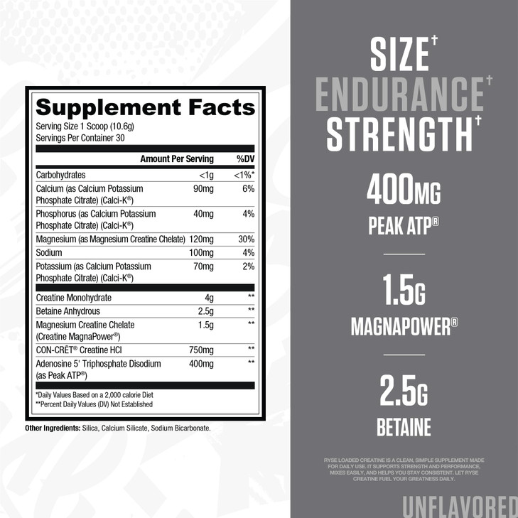 RYSE Loaded Creatine for Men & Women - Unflavored - Muscle Building Formula with 3 Forms of Electrolytes, Betaine Anhydrous and Peak ATP - Strength,