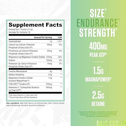 RYSE Loaded Creatine for Men & Women - Baja Cooler - Muscle Building Formula with 3 Forms of Electrolytes, Betaine Anhydrous and Peak ATP - Strength,