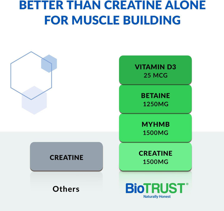 BioTrust Ageless Muscle Builder - Creatine HMB Powder with Vitamin D3 & Betaine - Build & Preserve Naturally Declining Muscle Mass & Strength - Fruit