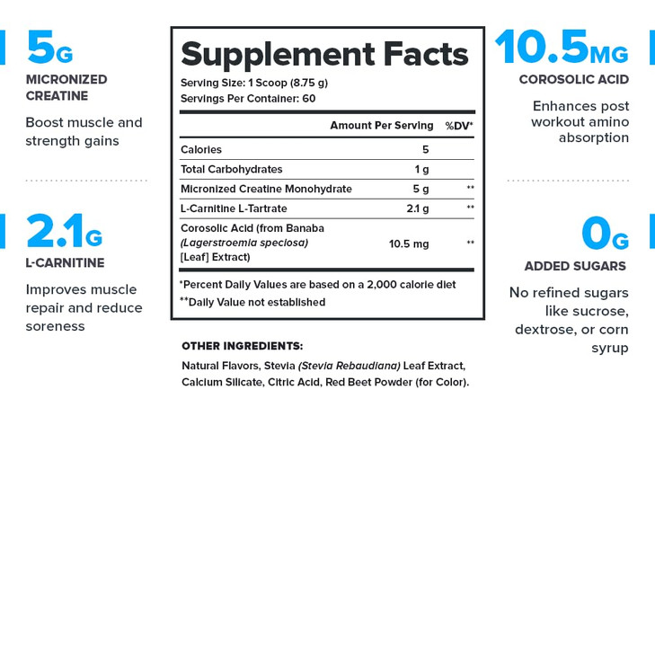 LEGION Recharge Post Workout Supplement (Strawberry Lemonade) - All Natural Muscle Builder & Recovery Drink with Micronized Creatine Monohydrate. Nat