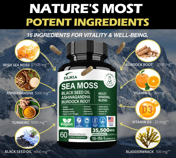 16-in-1 Organic Sea Moss Gel Alternative Capsules  Superfood Blend with Ashwagandha, Black Seed Oil, Turmeric, Bladderwrack, Burdock, Elderberry, Ma