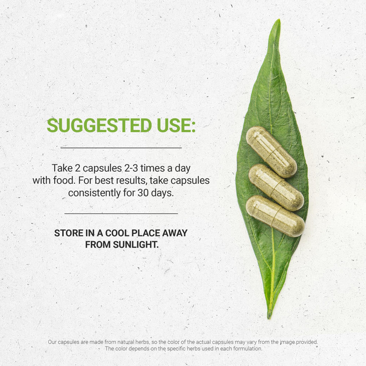 Secrets of the Tribe Lady's Mantle 60 Capsules, 800 mg, Lady's Mantle (Alchemilla vulgaris) Dried Herb (60 Capsules)