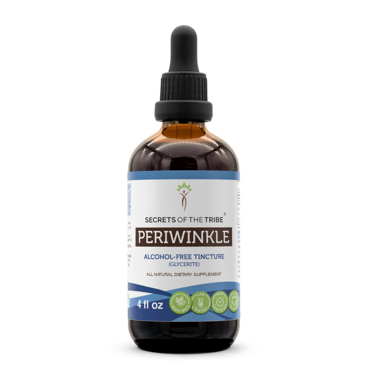 Secrets of the Tribe Periwinkle Alcohol-Free Liquid Extract, Periwinkle (Vinca Major) Dried Herb Tincture Supplement (4 FL OZ)