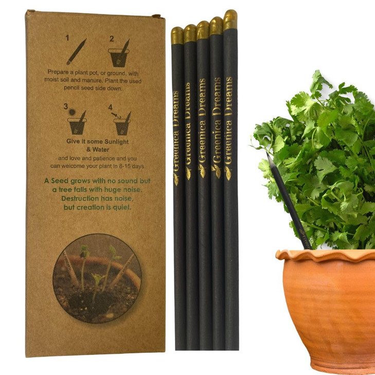 Greenica Dreams Eco Friendly Pencils Paper Pencils Writing Black Plantable a pencil HB Pencil (Black, 100, Count)