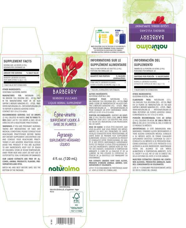 Naturalma Barberry (Berberis vulgaris) Root bark Alcohol-Free Tincture - 4 fl oz Liquid Extract in Drops - Herbal Supplement - Vegan