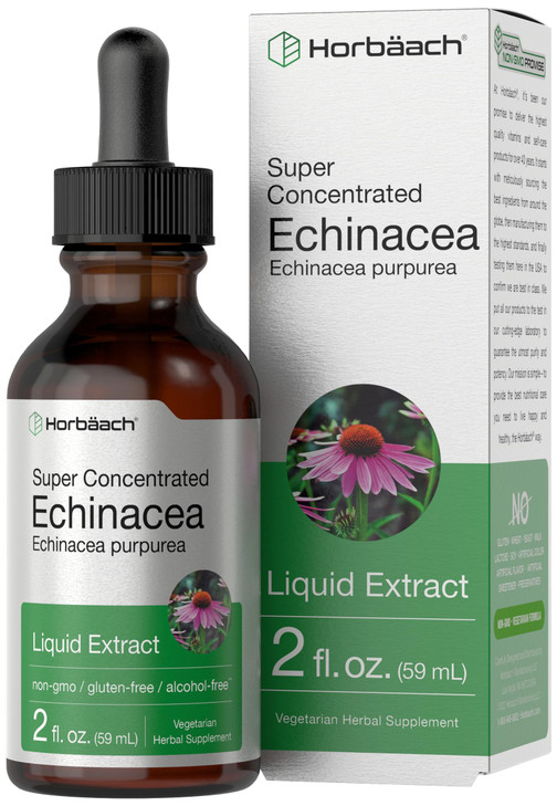 Horbaach Echinacea Drops Herb Tincture | 2 fl oz | Super Concentrated Root Extract | Alcohol Free Liquid | Vegetarian, Non-GMO & Gluten Free Suppleme