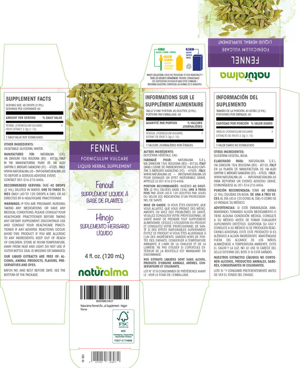 Naturalma Fennel (Foeniculum vulgare) Fruit Alcohol-Free Tincture - 4 fl oz Liquid Extract in Drops - Herbal Supplement - Vegan