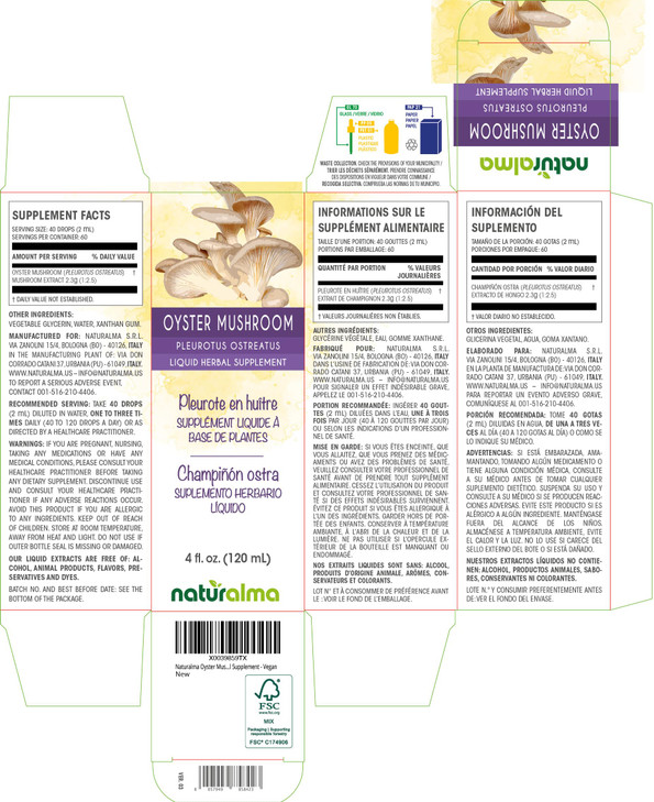 Naturalma Ginger (Zingiber officinalis) Rhizome Alcohol-Free Tincture - 4 fl oz Liquid Extract in Drops - Herbal Supplement - Vegan