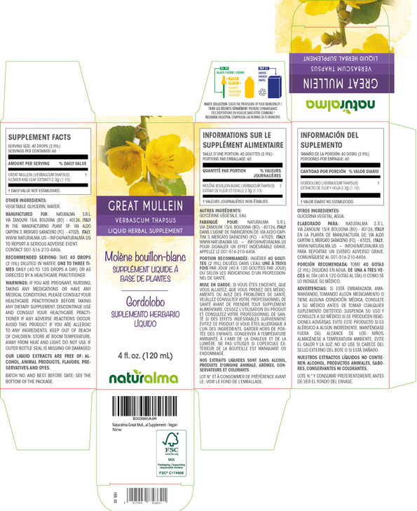 Naturalma Great Mullein or Common Mullein (Verbascum thapsus) Flower and Leaf Alcohol-Free Tincture - 4 fl oz Liquid Extract in Drops - Herbal Supple