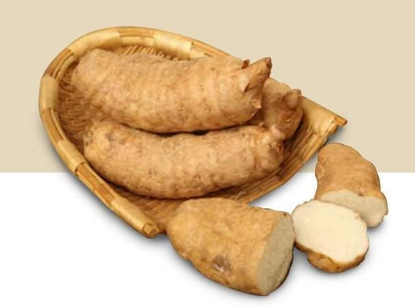 Organic Natural Pure Gastrodia Elata Extract Powder Herbs -7.05oz (200g)