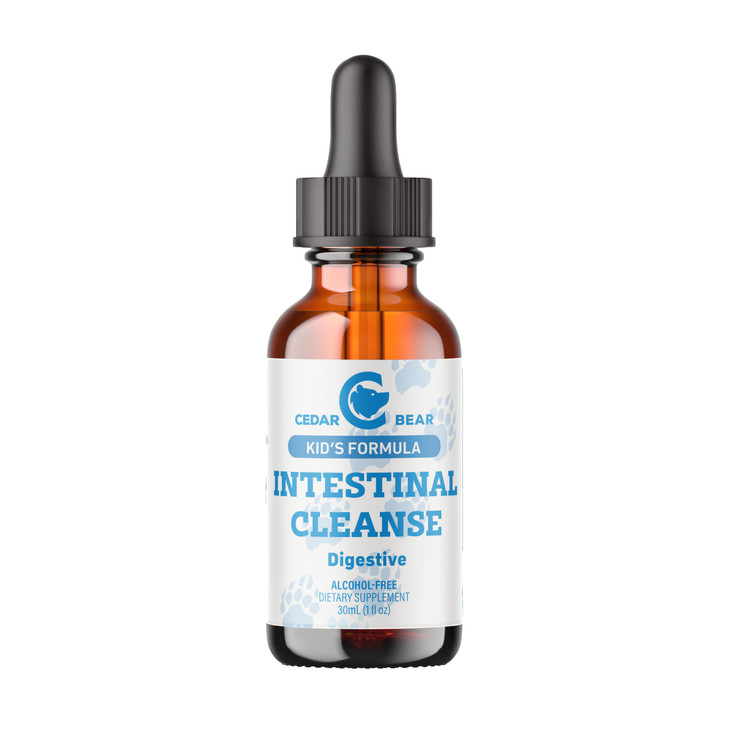Cedar Bear - Intestinal Cleanse for Kids, Liquid Herbal Supplement for Detox and Digestive Cleanse with Natural Herbs, Alcohol-Free Gut Cleanse Drops