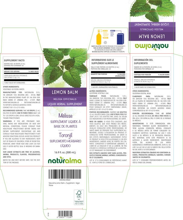 Naturalma Lemon Balm (Melissa officinalis) Leaf Alcohol-Free Tincture - 16.9 fl oz Liquid Extract in Drops - Herbal Supplement - Vegan