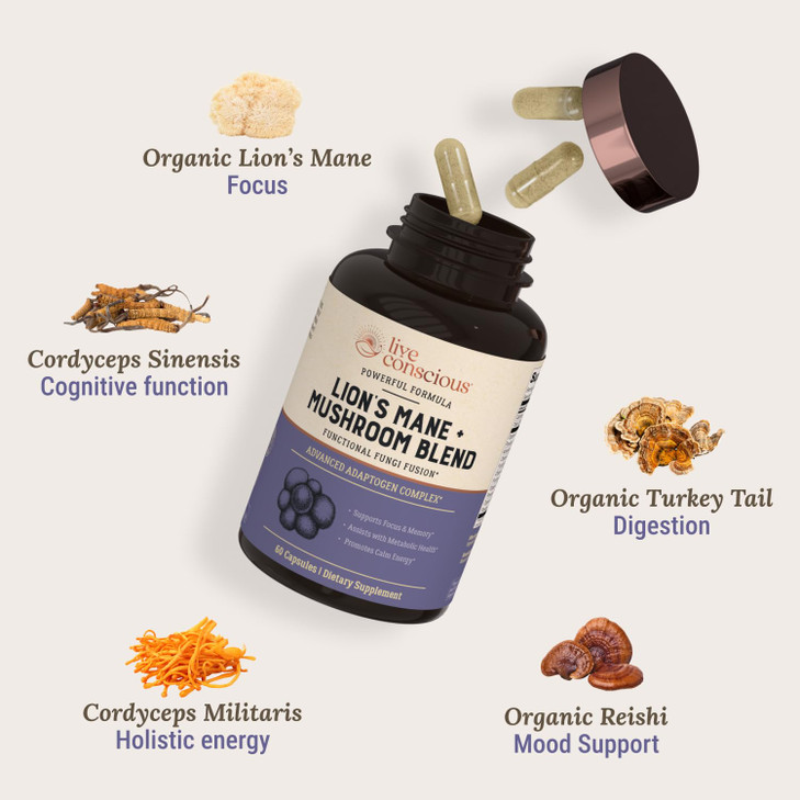 Live Conscious Lions Mane Mushroom Supplement Capsules for Brain Support w/Lion's Mane, Cordyceps, Reishi, and Turkey Tail Mushrooms - Cognitive Memo
