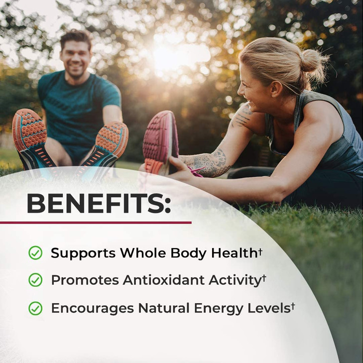 Sugar Free Beet Root Gummies - Nitric Oxide Gummies Infused with Coconut Oil for Highest Absorption - Supports Energy & Whole Body Health - Delicious