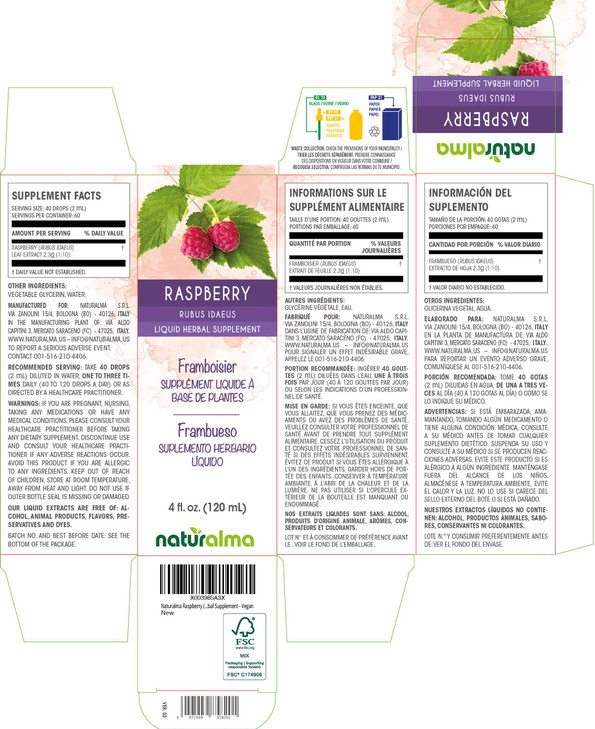 Naturalma Raspberry (Rubus idaeus) Leaf Alcohol-Free Tincture - 4 fl oz Liquid Extract in Drops - Herbal Supplement - Vegan