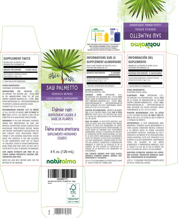 Naturalma Saw Palmetto (Serenoa repens or Sabal serrulata) Fruit Alcohol-Free Tincture - 4 fl oz Liquid Extract in Drops - Herbal Supplement - Vegan