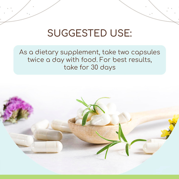 HerbEra Spinach 120 Capsules, 500 mg, USDA Organic Spinach (Spinacia oleracea) Dried Leaf (120 Capsules)