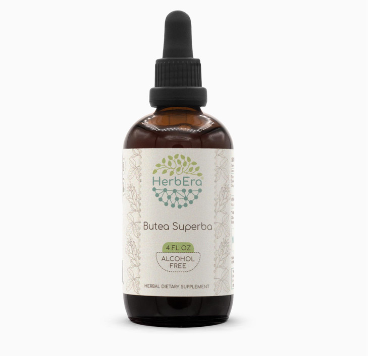 HerbEra Butea Superba Tincture B120 Alcohol-Free Extract, Wildcrafted Butea Superba (Butea Superba) Dried Root (4 fl oz)