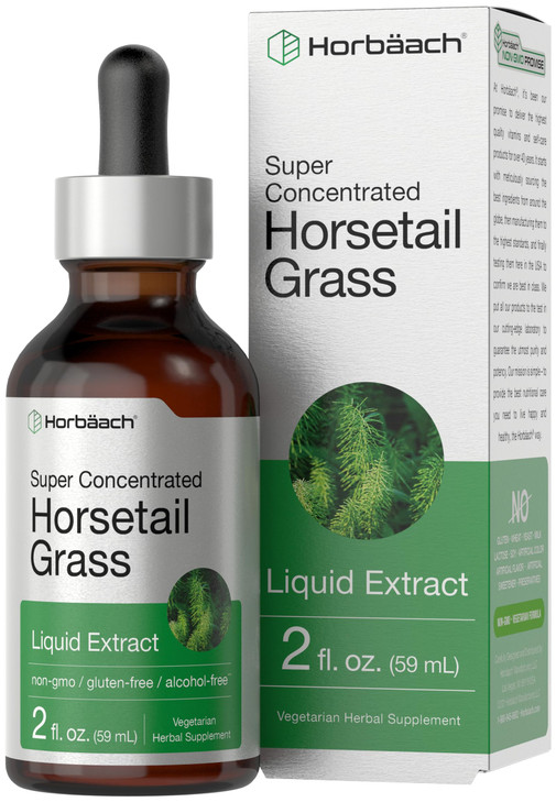 Horbäach Horsetail Herb Liquid Extract | Alcohol Free | 2 fl oz | Vegetarian, Non-GMO, & Gluten Free Supplement