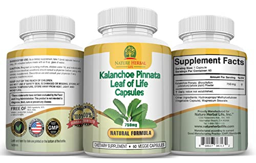 Nature Herbal Life Kalanchoe Pinnata-Leaf of Life (Bryophyllum Pinnatum)Lao Di Sheng Gen, Capsules. 1 Bottle-750mg, 60 Count (Pack of 1)
