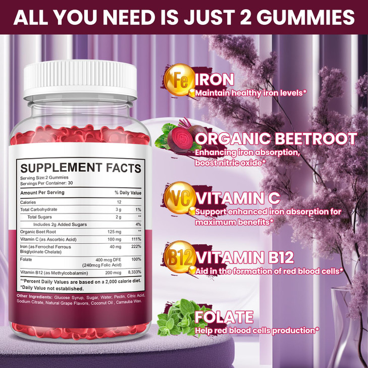 (2 Pack) Iron Gummies Supplement for Women & Men, Iron Supplements for Anemia with Vitamin C, B12, Folate-Blood Builder & Energy Support for Iron Def