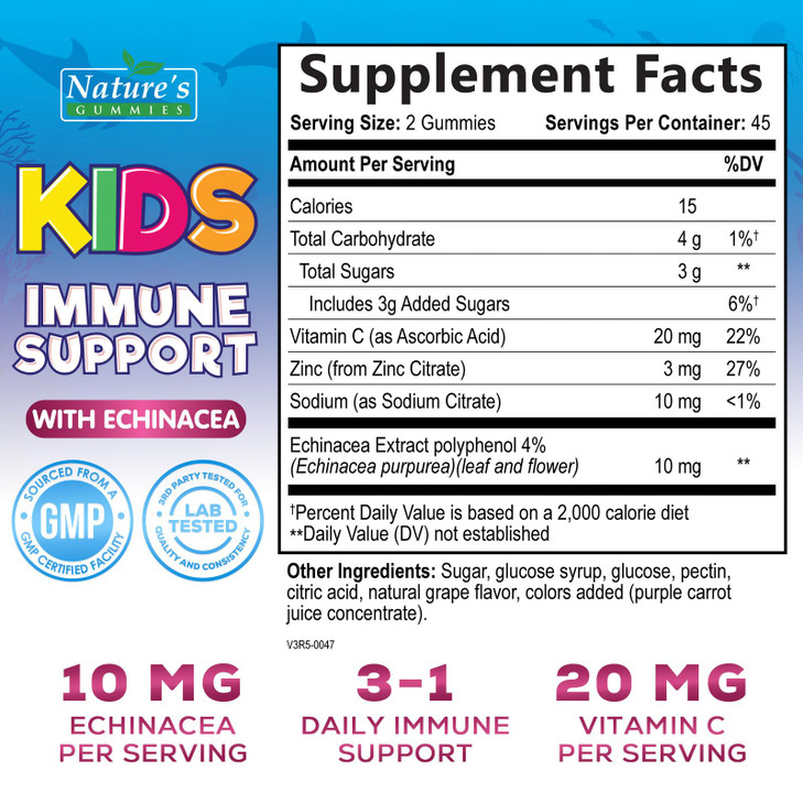 Kids Immune Support Supplement Gummies - Daily Childrens Vitamins C, Zinc & Echinacea - Gummy for Kids Immune Support, Ages 4 and Up, Natural Berry F