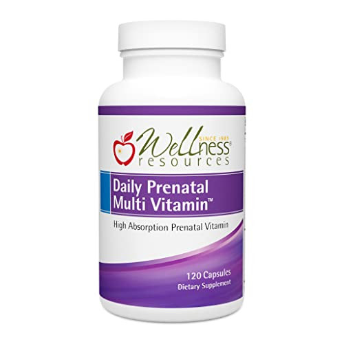 Wellness Resources Daily Prenatal Multi Vitamin - Methylated Folate Zinc Iron Bisglycinate Choline & Key Nutrients - Natural Prenatal Postnatal Postp