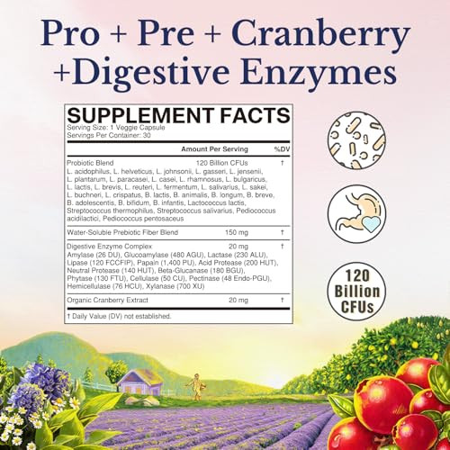 Vitalitown Probiotics for Women 120 Billion CFUs, 30 Strains, with Prebiotics & Digestive Enzymes & Cranberry, Gut & Vaginal Health, Vegan 60 (Pack o
