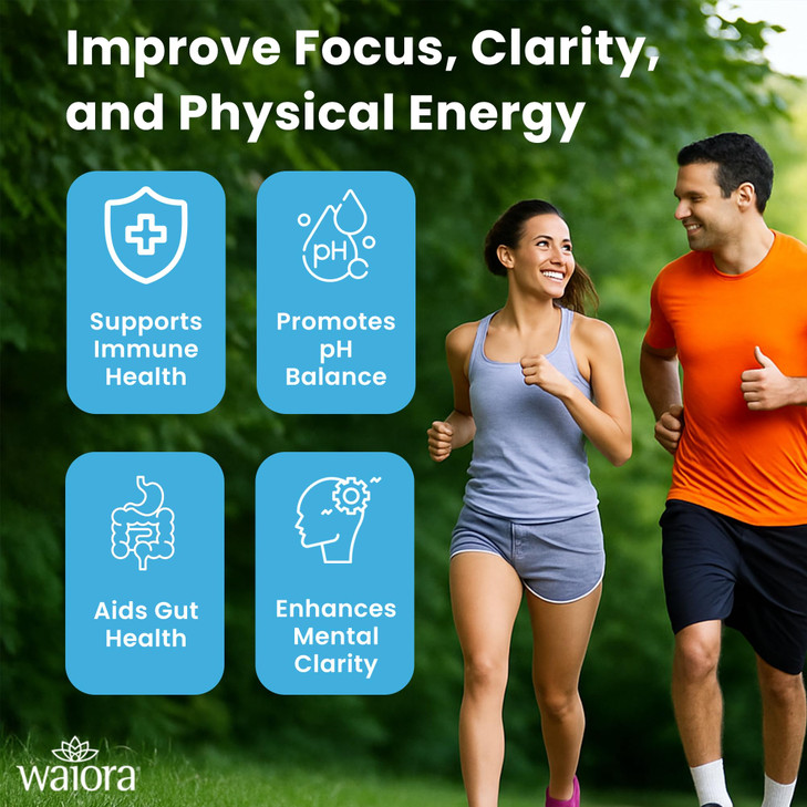 Natural Cellular Defense (NCD) Liquid Supplement, Advanced Mineral & Botanical Formula, Daily Immune & Cellular Wellness, Easy Absorption Drops, pH B